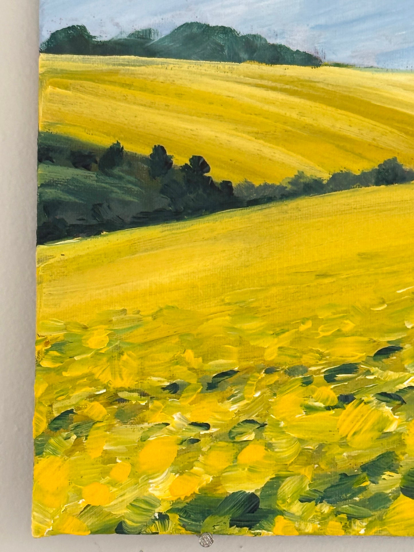 Northern France Flower Fields 8x8" Original Painting