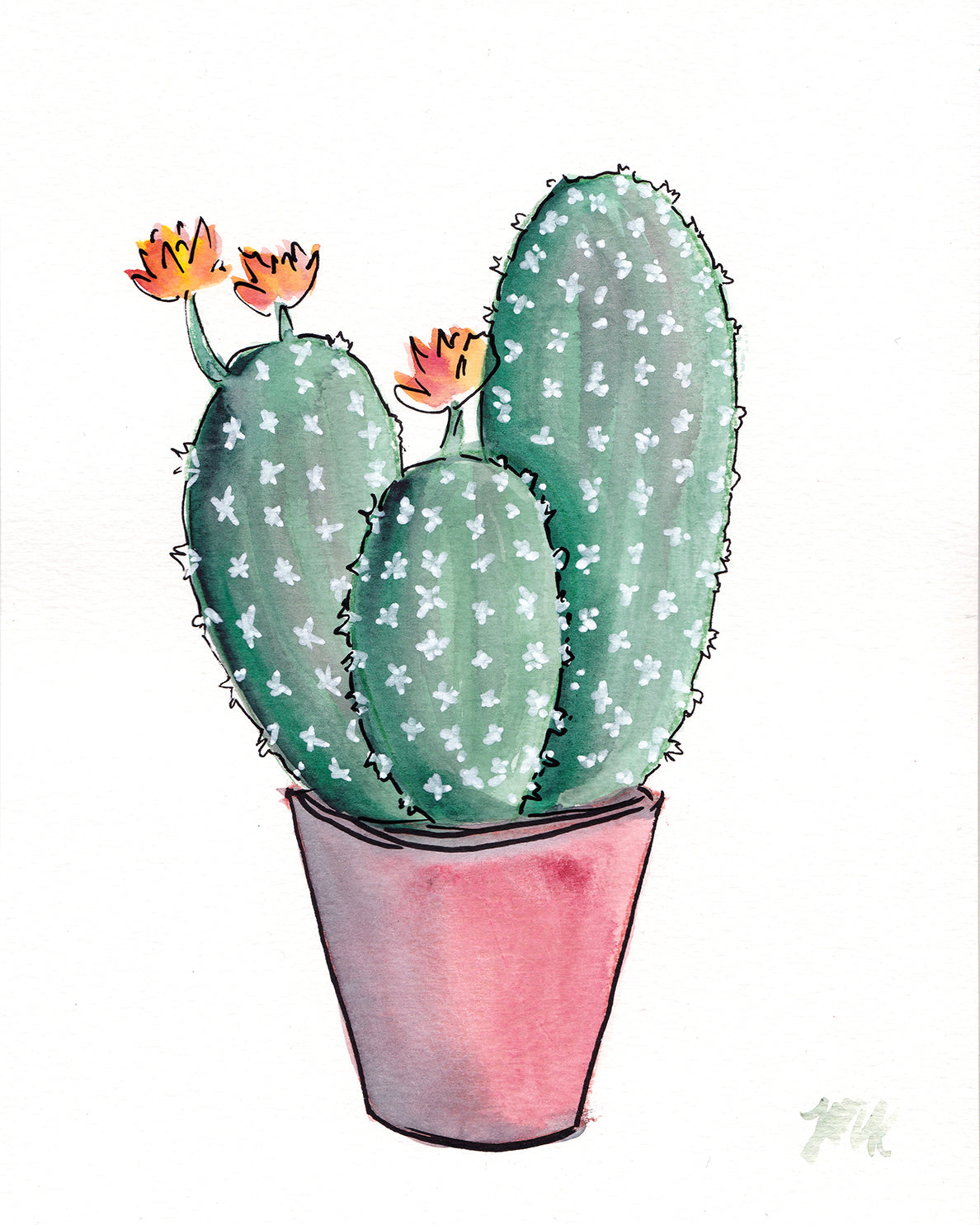 Hedgehog Cactus Watercolor Fine Art Print