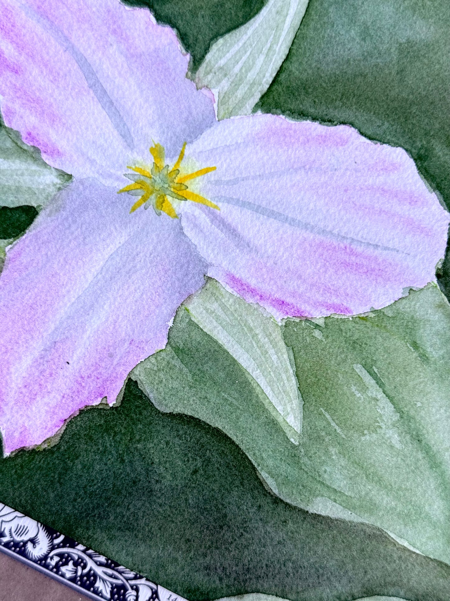 Trillium Grandiflorum 7x10" Original Watercolor Painting