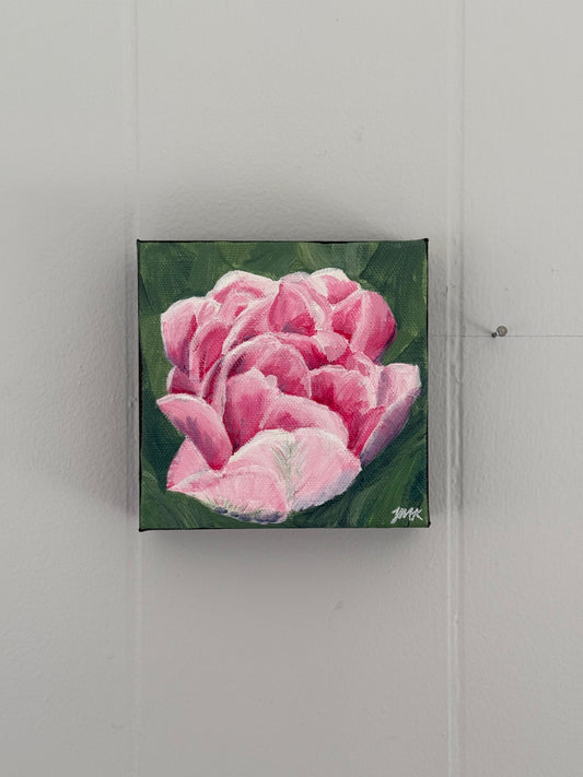 Pink Tulip Blossom Floral Painting - Original Acrylic Art, 5x5"