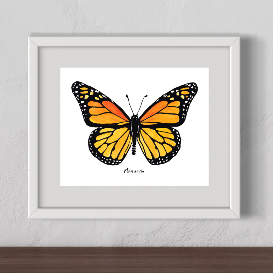 Monarch Butterfly - Watercolor Fine Art Print