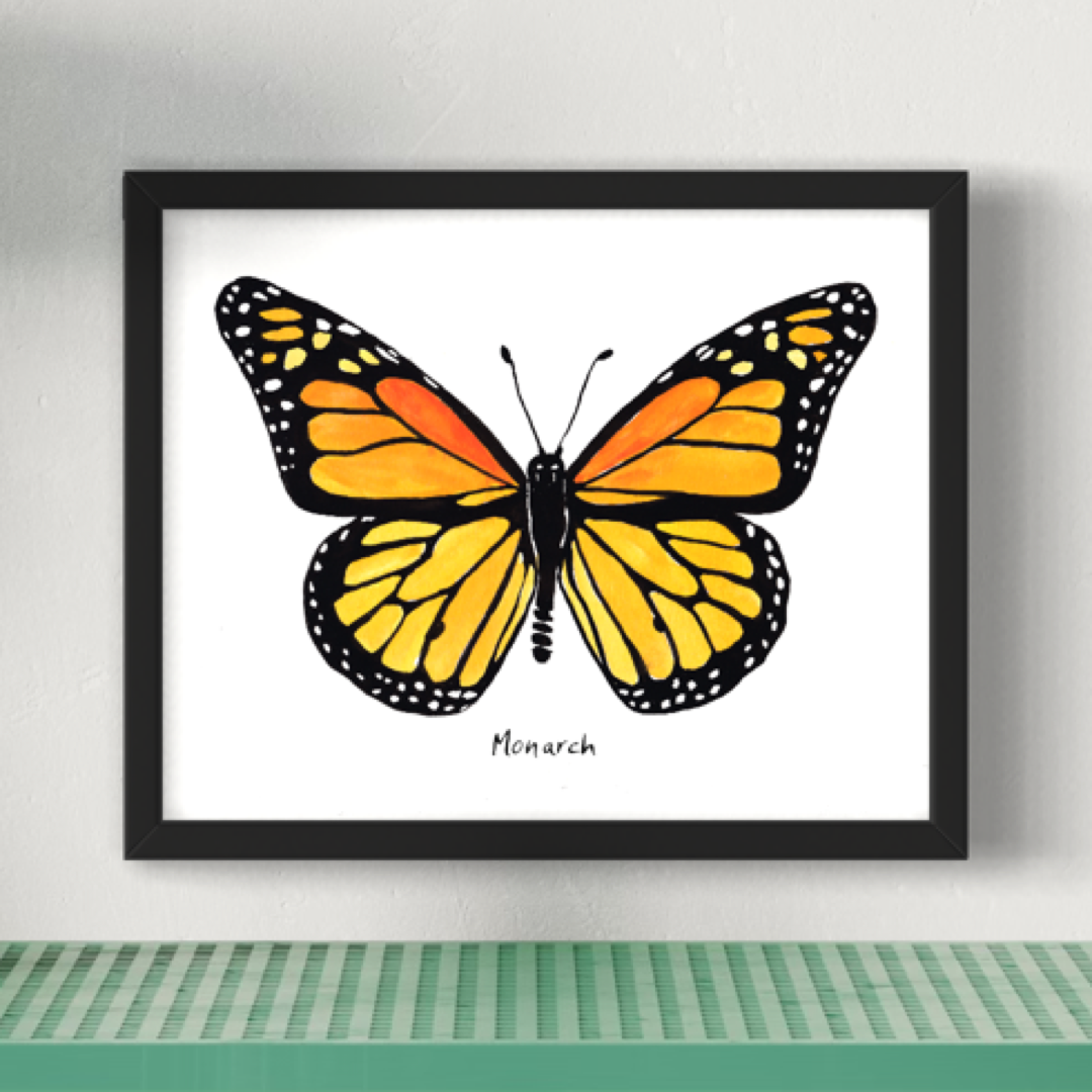 Monarch Butterfly - Watercolor Fine Art Print