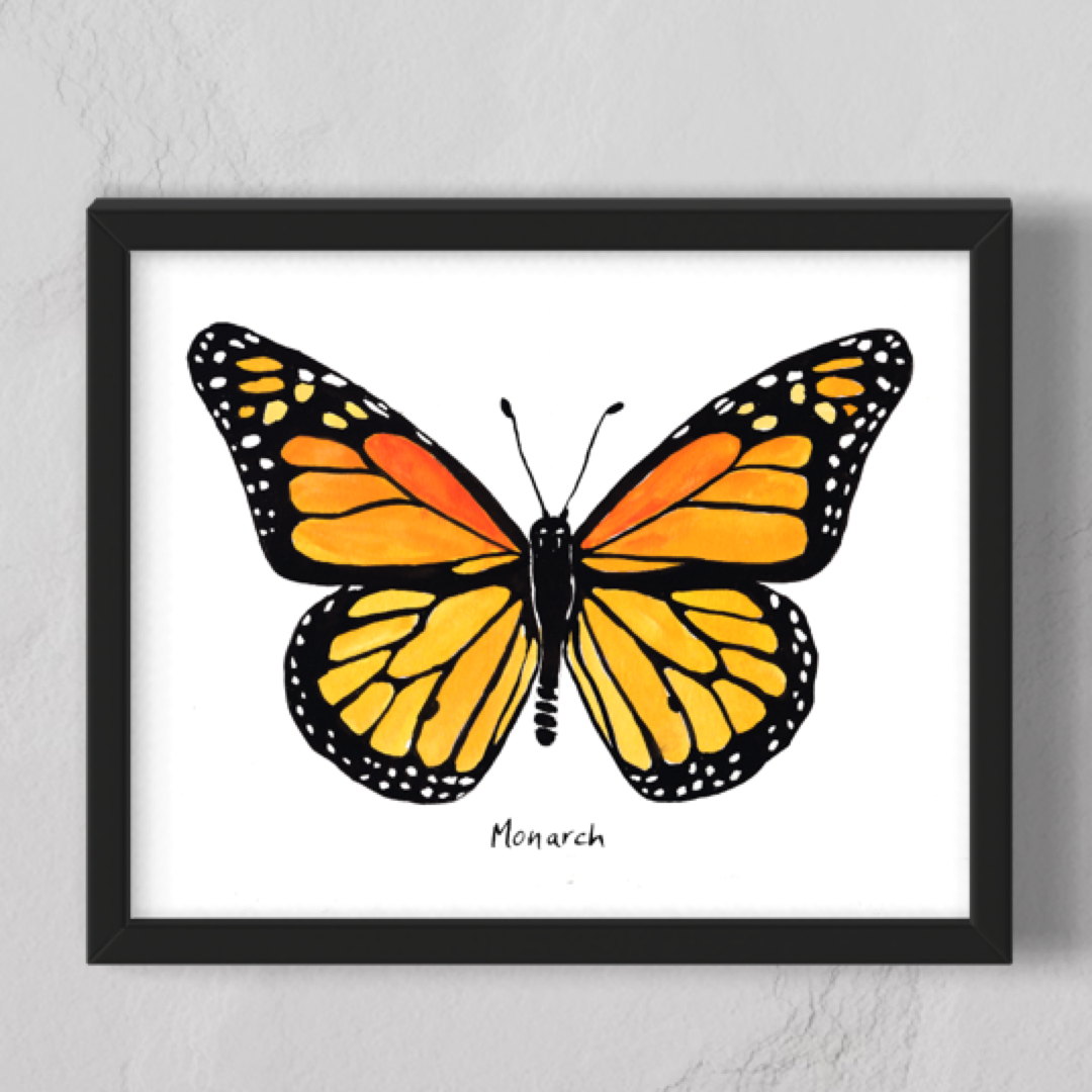 Monarch Butterfly - Watercolor Fine Art Print