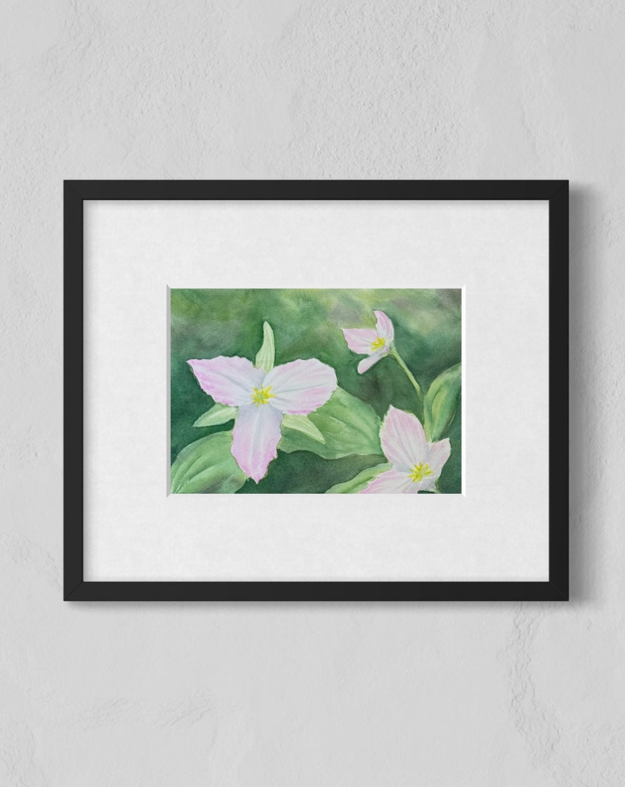 Trillium Grandiflorum - Print 5x7"
