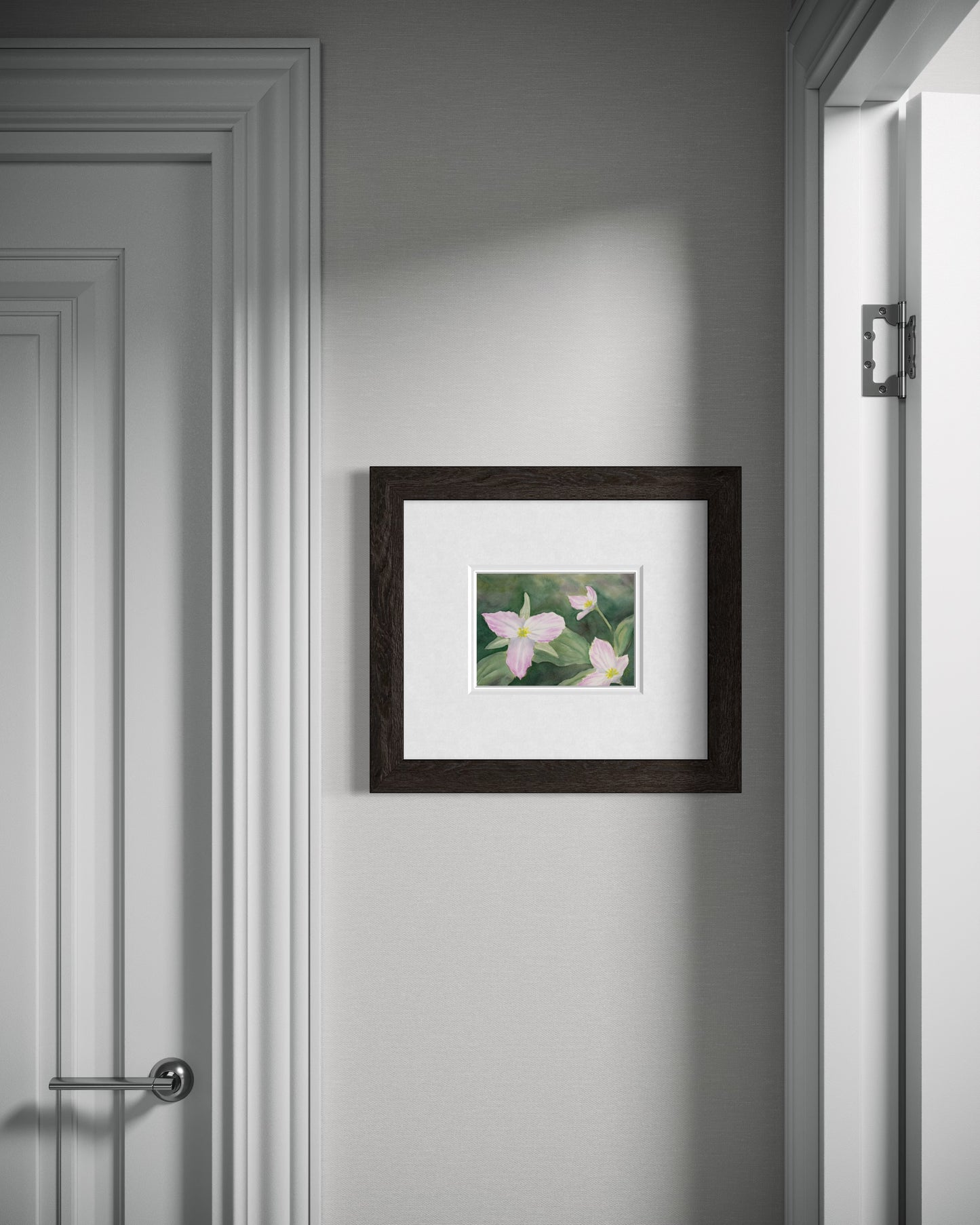 Trillium Grandiflorum - Print 5x7"